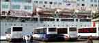 Cruises